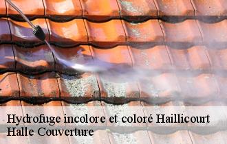 Hydrofuge incolore et coloré