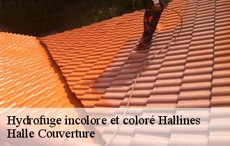 Hydrofuge incolore et coloré 62570