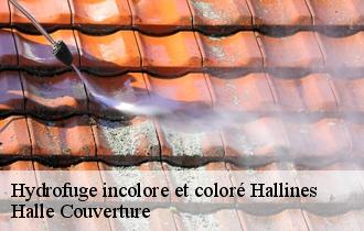 Hydrofuge incolore et coloré