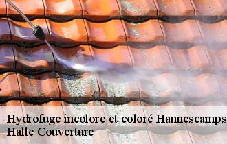 Hydrofuge incolore et coloré