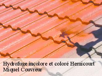 Hydrofuge incolore et coloré  hernicourt-62130 Miquel Couvreur