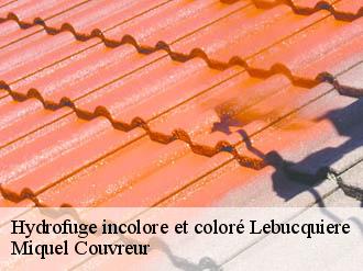 Hydrofuge incolore et coloré  lebucquiere-62124 Miquel Couvreur