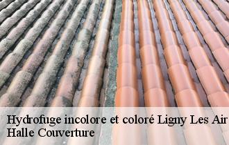 Hydrofuge incolore et coloré ligny-les-aire-62960 Halle Couverture