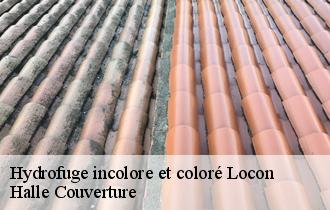Hydrofuge incolore et coloré locon-62400 Halle Couverture