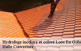 Hydrofuge incolore et coloré 62750