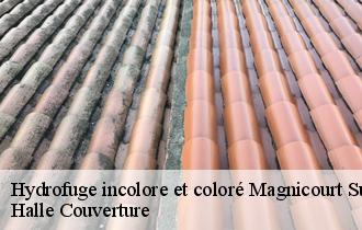 Hydrofuge incolore et coloré  magnicourt-sur-canche-62270 Halle Couverture