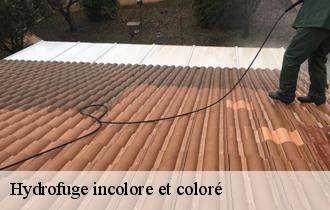 Hydrofuge incolore et coloré  62250