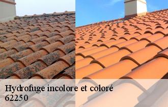 Hydrofuge incolore et coloré  62250