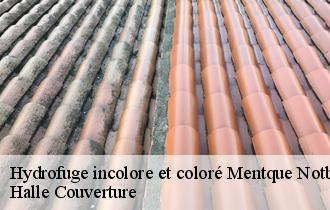 Hydrofuge incolore et coloré mentque-notbecourt-62890 Halle Couverture