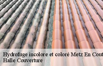 Hydrofuge incolore et coloré metz-en-couture-62124 Halle Couverture