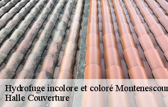 Hydrofuge incolore et coloré montenescourt-62123 Halle Couverture