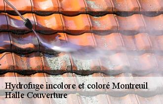 Hydrofuge incolore et coloré