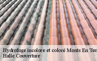 Hydrofuge incolore et coloré  monts-en-ternois-62130 Halle Couverture