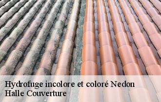 Hydrofuge incolore et coloré nedon-62550 Halle Couverture