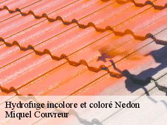 Hydrofuge incolore et coloré  nedon-62550 Miquel Couvreur