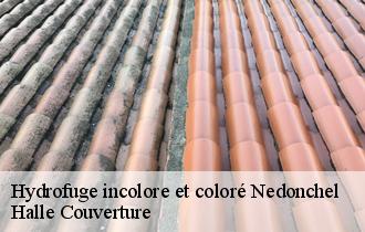 Hydrofuge incolore et coloré nedonchel-62550 Halle Couverture