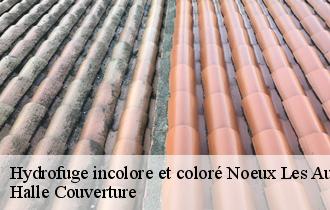 Hydrofuge incolore et coloré noeux-les-auxi-62390 Halle Couverture