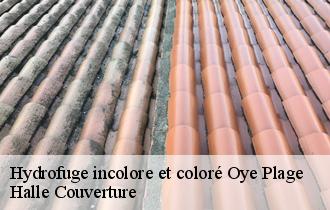 Hydrofuge incolore et coloré oye-plage-62215 Halle Couverture