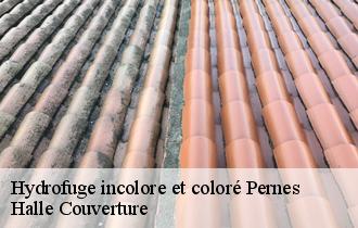 Hydrofuge incolore et coloré  pernes-62550 Halle Couverture