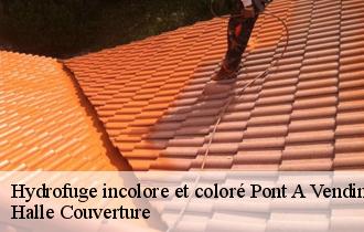 Hydrofuge incolore et coloré 62880