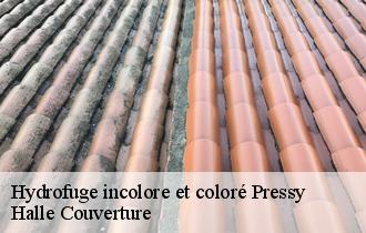 Hydrofuge incolore et coloré pressy-62550 Halle Couverture