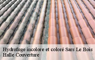 Hydrofuge incolore et coloré sars-le-bois-62810 Halle Couverture