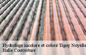 Hydrofuge incolore et coloré tigny-noyelle-62180 Halle Couverture