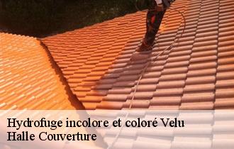 Hydrofuge incolore et coloré 62124