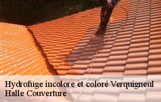 Hydrofuge incolore et coloré  62113