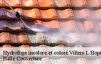 Hydrofuge incolore et coloré