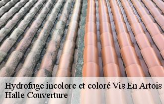 Hydrofuge incolore et coloré vis-en-artois-62156 Halle Couverture