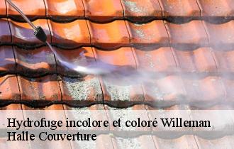 Hydrofuge incolore et coloré