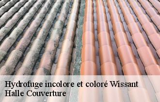 Hydrofuge incolore et coloré  wissant-62179 Halle Couverture